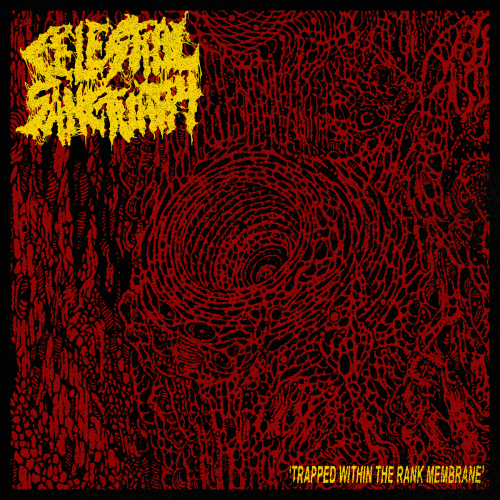 Celestial Sanctuary : Trapped Within the Rank Membrane